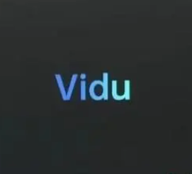 Vidu